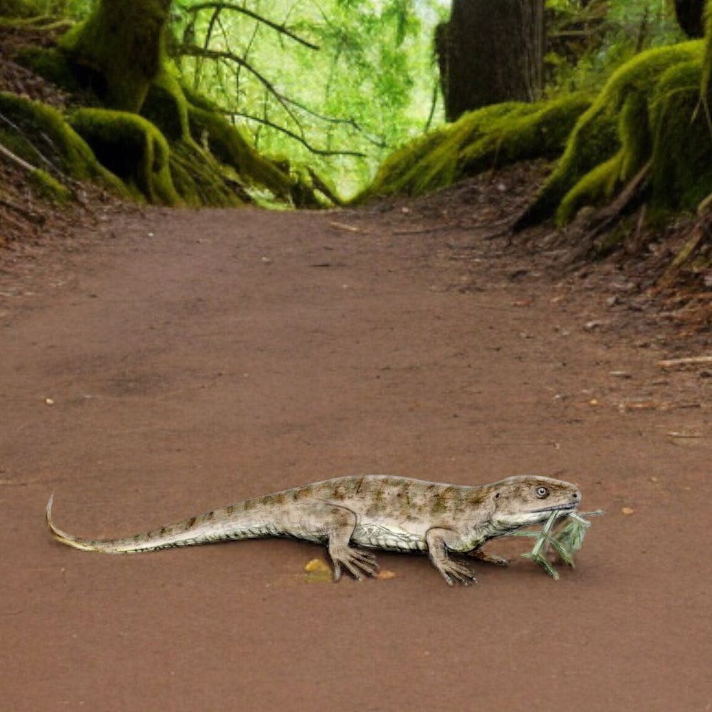 Reptil Captorhinus Aguti aus dem Perm