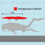 Archegosaurus sp. Jäger aus dem Perm