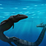 Pleurosaurus Fischsaurier aus dem Jura